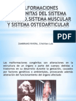 Malformaciones Congenitas Del Sistema Nervioso, Muscular y Osteoarticular
