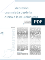 Neurobiologia Del Estrés y Depresión PDF