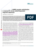 Cocaine AMPA Receptor Redistribution Reversed in Vivo