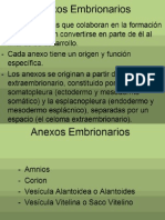 anexos embrionarios.pptx