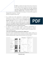 GAMMA RAY LOG AND SPECTRAL GAMMA RAY REGISTRO