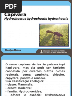 Capivaras