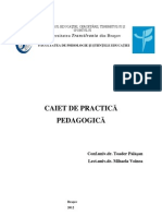 Caiet Practica Pedagogica