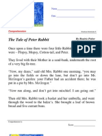 The Tale of Peter Rabbit: Comprehension