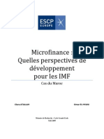 Memoire Microfinance Maroc ESCP Europe 4