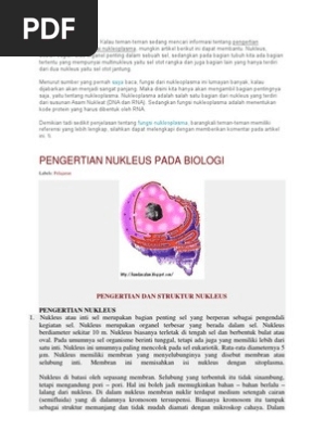 Fungsi Nukleoplasma