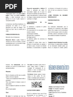 Triptico Democracia