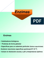 enzimas