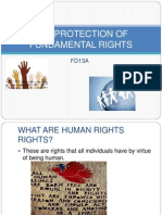 2012protection of Fundamental Rights