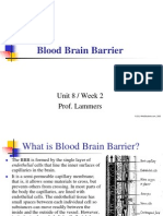 Blood Brain Barrier