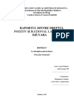 Raportul de Dr Pozitiv Si Rational La M Djuvara