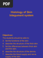 Download Histology of Skin by H R A K Kulathilaka SN14210377 doc pdf