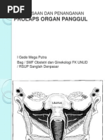 Download Prolaps Organ Panggul by Budi Iman Santoso SN142125729 doc pdf
