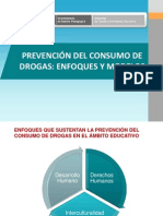 Marco Teorico de Prevencion Del Consumo de Drogas Enfoques y Modelos Modelo Ecologico