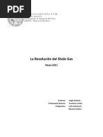 La Revolucion Del Shale Gas Ok