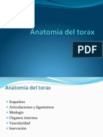 Anatomia Torax