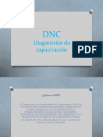 DNC.pdf