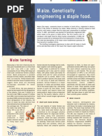 Download GE maize by winston SN14214667 doc pdf