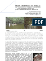 La Explotación Sustentable Del Manglar