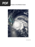 Download Hurricane Ike by Emma SN14215909 doc pdf