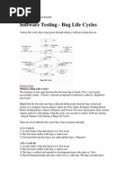 Defect Life Cycle