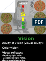 12 Vision