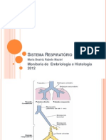 Sistema Respiratório