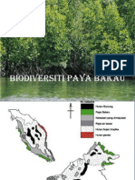 Biodiversiti Paya Bakau