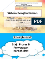 Penghadaman