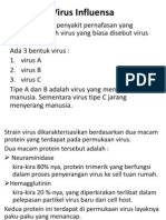 Virus Influensa