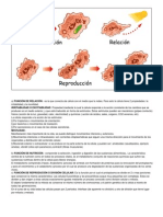 IRRITABILIDAD O EXCITABILIDAD: Propiedad Mediante La Cual La Célula Responde A La Acción Constante de Los Cambios Que Se