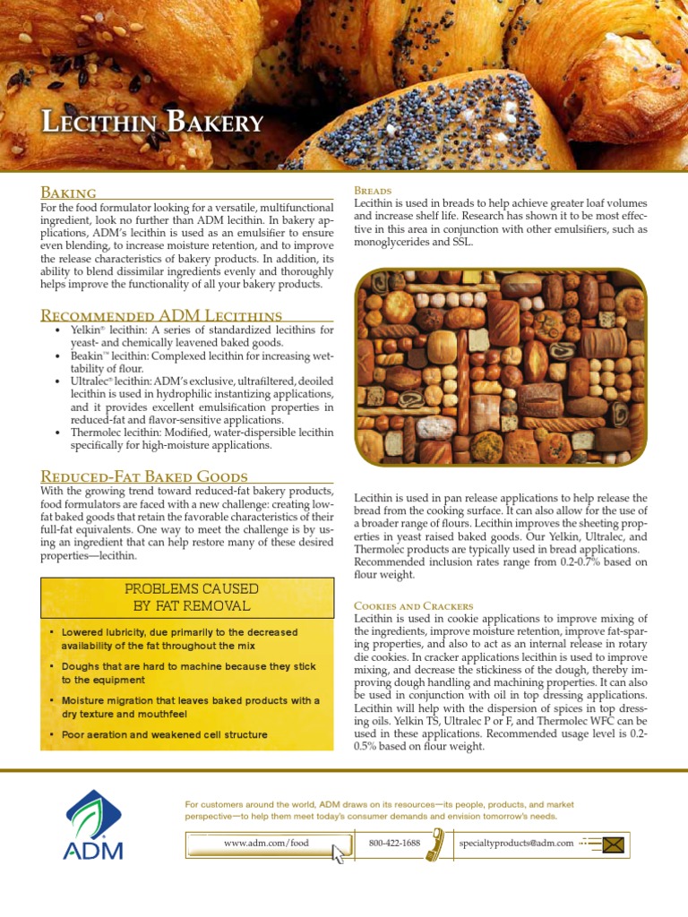 Lecithin For Bakery Applications | PDF | Cooking, Food & Wine | Wellness