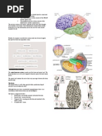 Download Neurology by Jasmin Jacob SN14222758 doc pdf