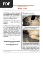 Boletin Muerte Por Electrocucion 01