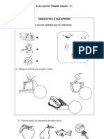 Evaluación Primer Grado-Sentidos y Otros