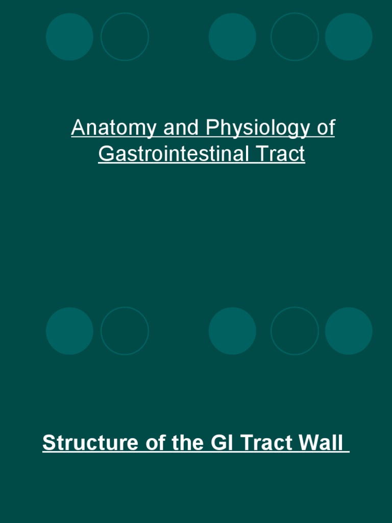 Anatomy and Physiology of Gastrointestinal Tract | PDF | Stomach ...