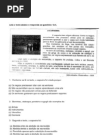 AVALIAÇOES  ace 2 historia