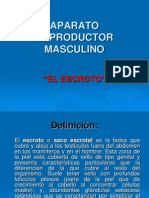 APARATO REPRODUCTOR MASCULINO