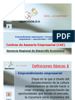 funcionamiento_caes.pdf