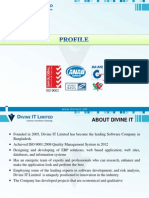 DivineIT Company Profile 2013