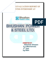 Overview of Bhushan Power and Steel