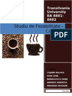 Studiu de Fezabilitate Cafenea