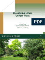 Aging Urinary Tract