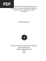PDF Pengaruh Pemangkasan Pada Budidaya Tanaman Buah Mentimun PDF Pengaruh Pemangkasan Pada Budidaya Tanaman Buah Mentimun