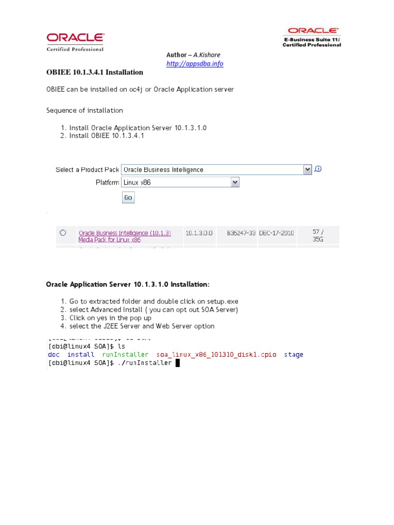 1 Obiee Using Oas | PDF