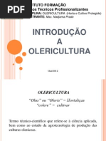 Introdução a Olericultura.pdf