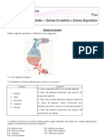 Ficha de Trabalho Sistema Cardiorespiratã Rio