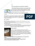 Sortarea Ambalajelor Pe Grupe de Materiale Reciclabile