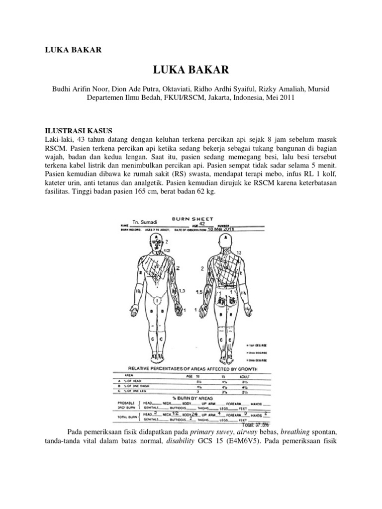 LUKA BAKAR fkui.pdf