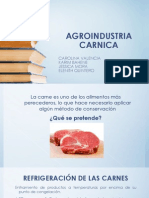 Diapositivas Carnicos